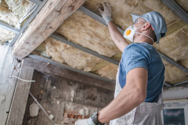Insulation for New Construction in Romeo, MI